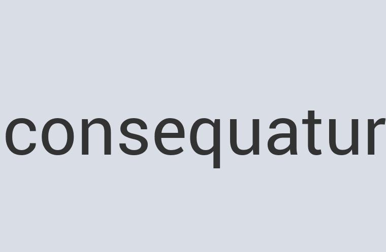 Rustic Plastic Man Swatter