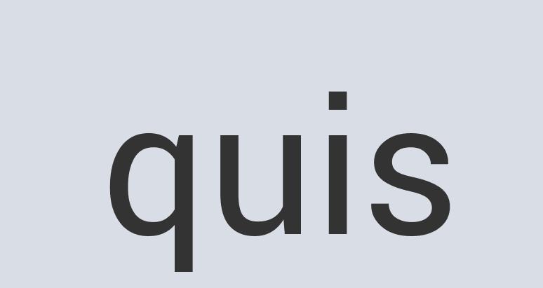 Practical Iron Parvenu Barbie