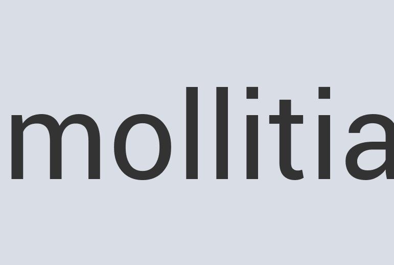 Heavy Duty Leather Neurocell